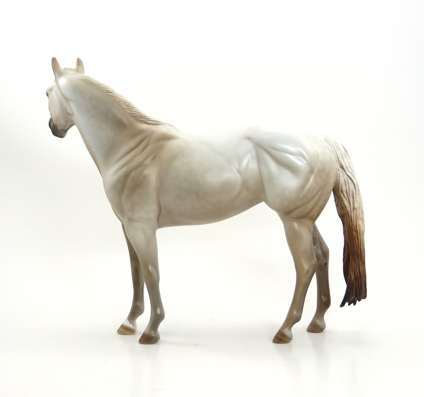 KISS ME KATE - Dappled Light Chestnut Going Grey Stock Horse Mare - EQ 2015 - LE15 - 1/15