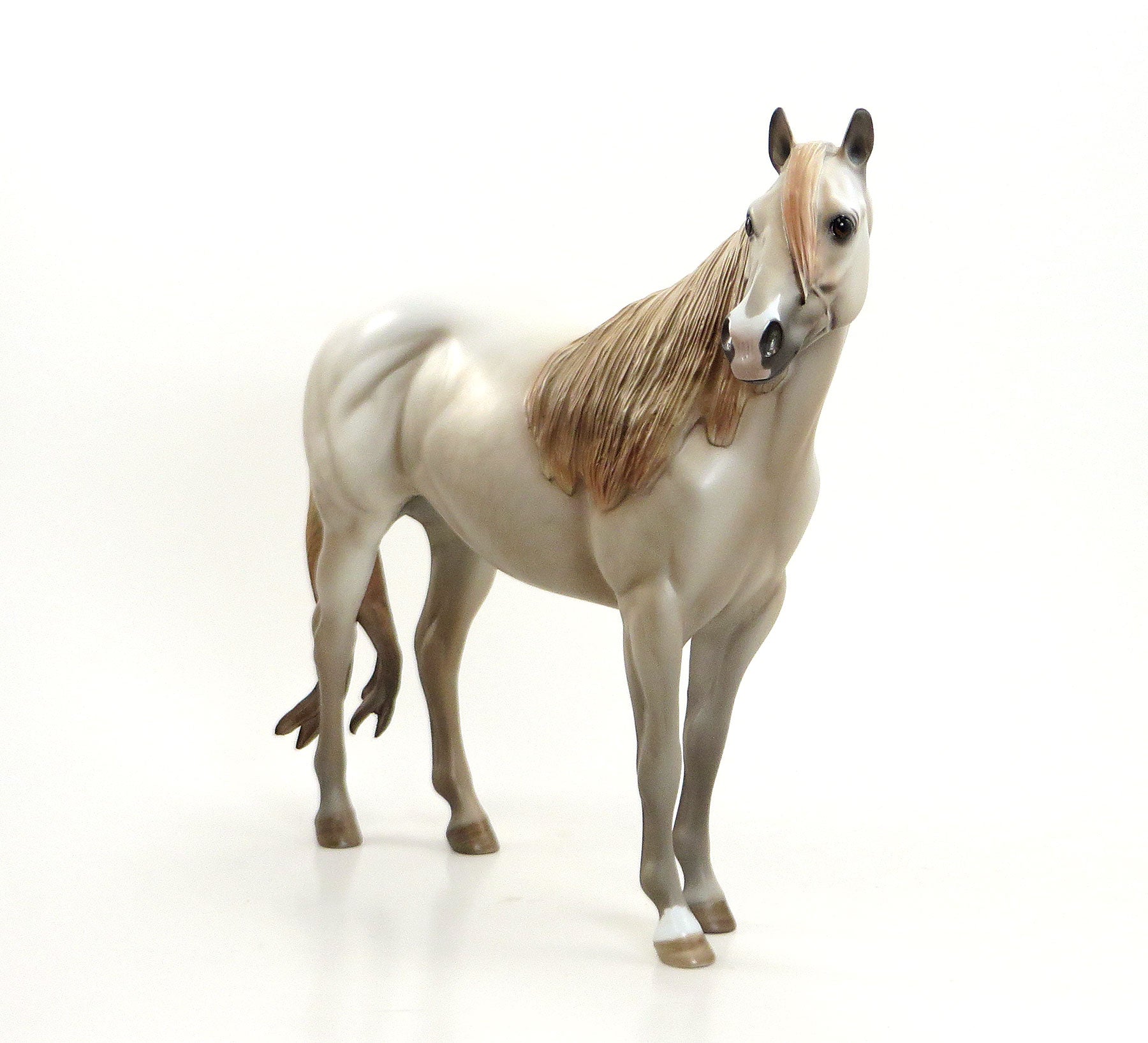 KISS ME KATE - Dappled Light Chestnut Going Grey Stock Horse Mare - EQ 2015 - LE15 - 1/15