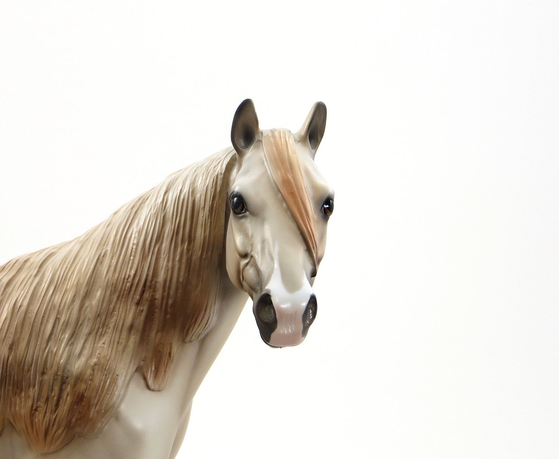 KISS ME KATE - Dappled Light Chestnut Going Grey Stock Horse Mare - EQ 2015 - LE15 - 1/15