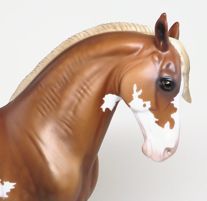 chestnut paint racine