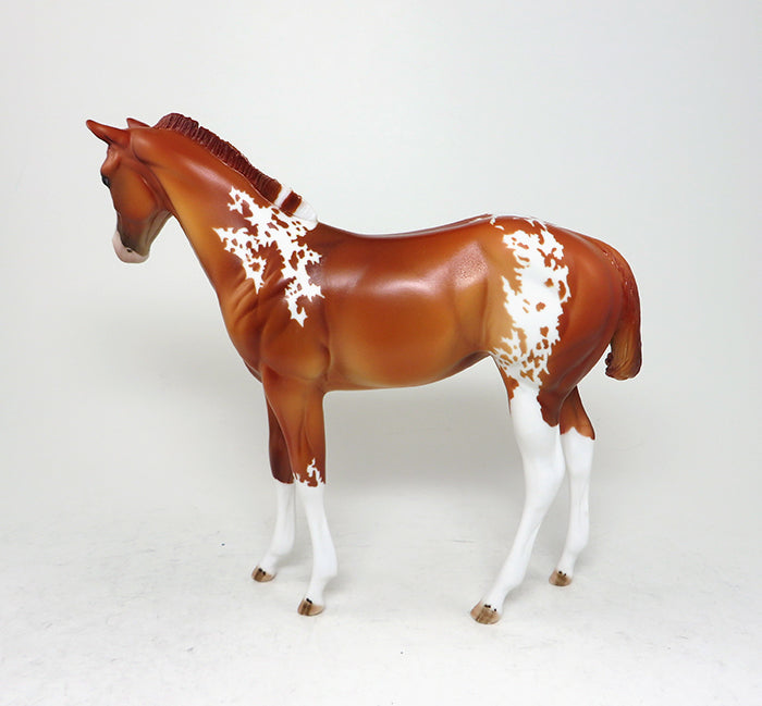 chestnut paint weanling