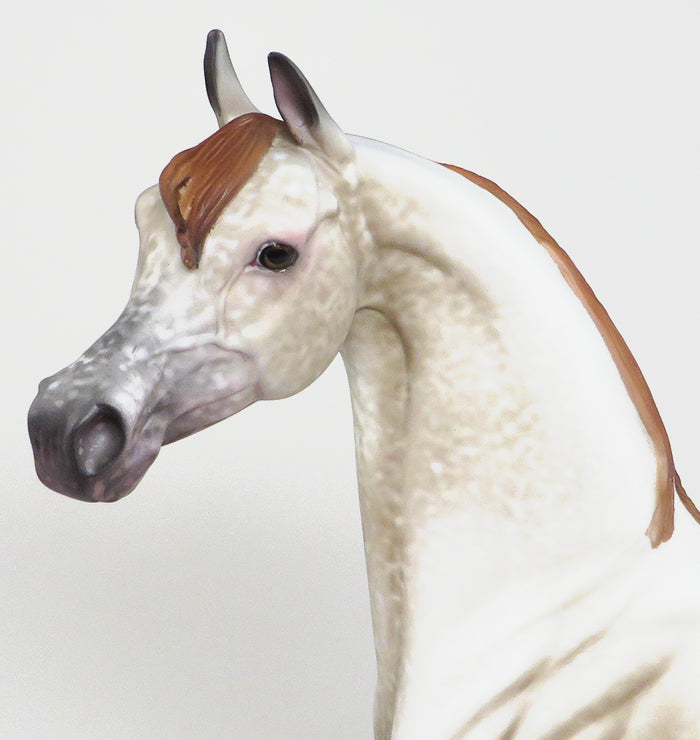 one of a kind arabian