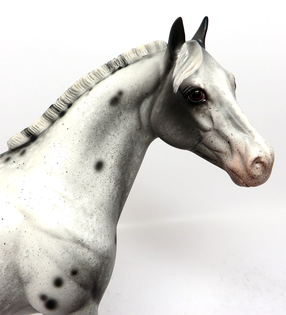 CRACKER JAX-OOAK BLACK APPALOOSA ISH MODEL HORSE 3/17