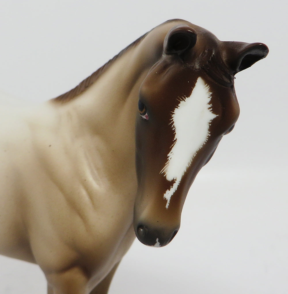 CINNAMON GIRL-APPALOOSA WEANLING MODEL HORSE 4/28