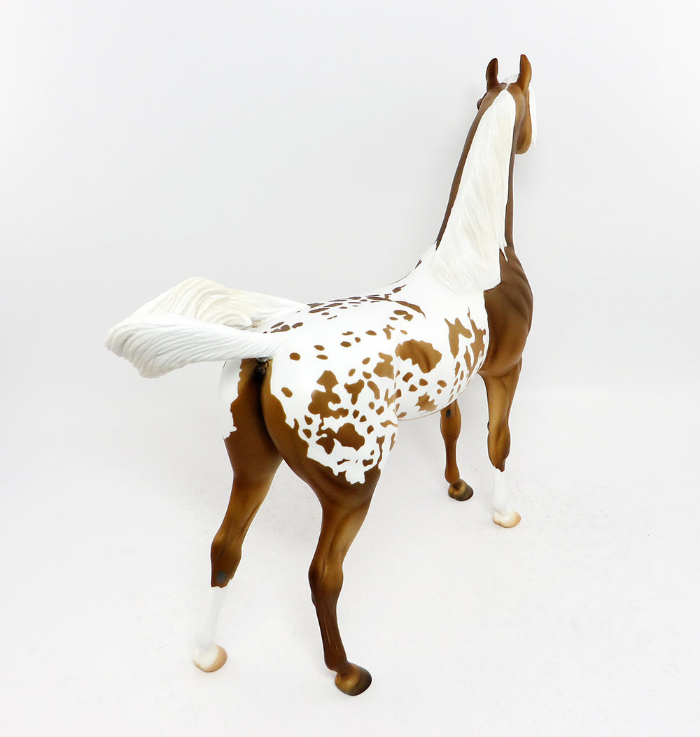 APPALOOSA
