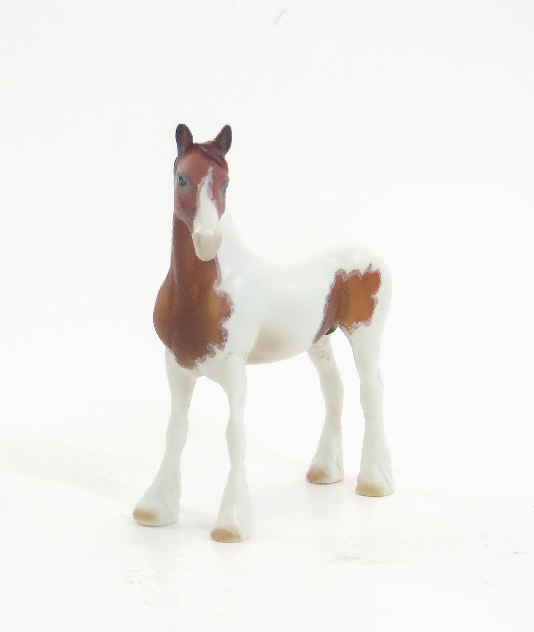 BLAKE - OOAK EQ 2015 Chestnut Pinto Drafter Chip W/ Purple Ribbons 7/23