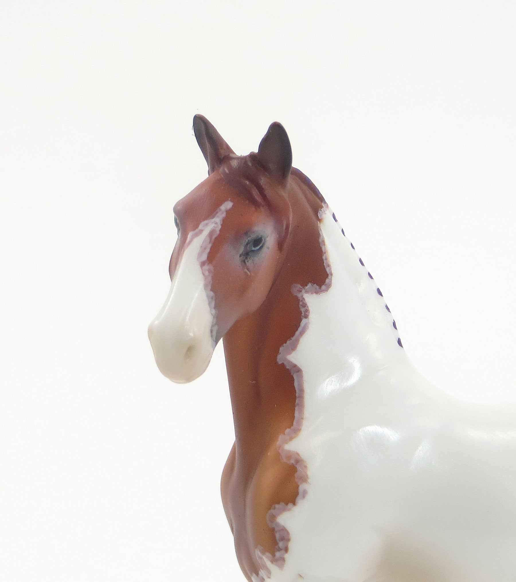 BLAKE - OOAK EQ 2015 Chestnut Pinto Drafter Chip W/ Purple Ribbons 7/23