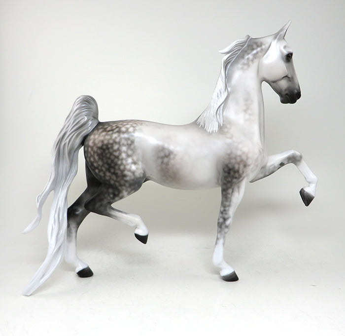 ashland dapple grey saddlebred