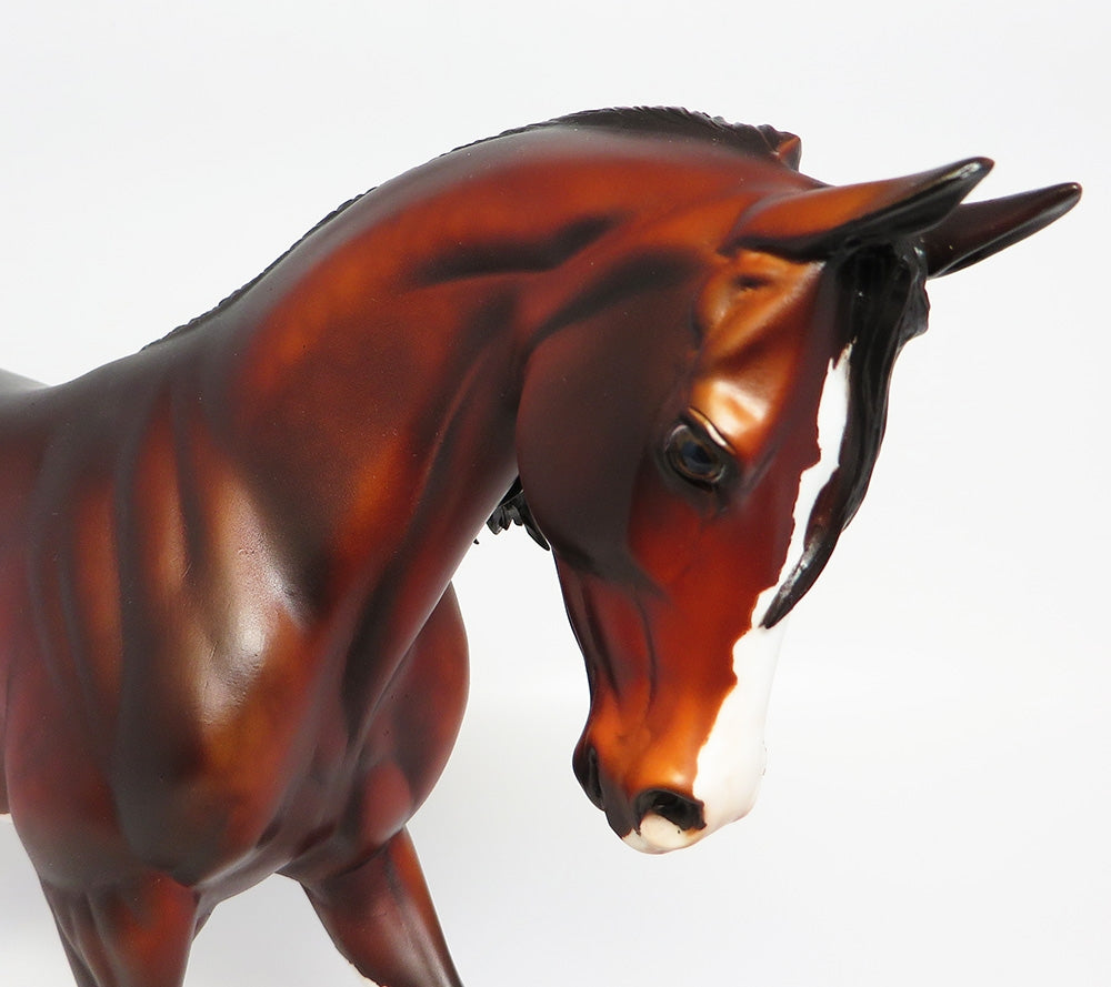 CLOVE~OOAK DAPPLE BAY SABINO THOROUGHBRED MODEL HORSE BY DAWN QUICK 9/20/17