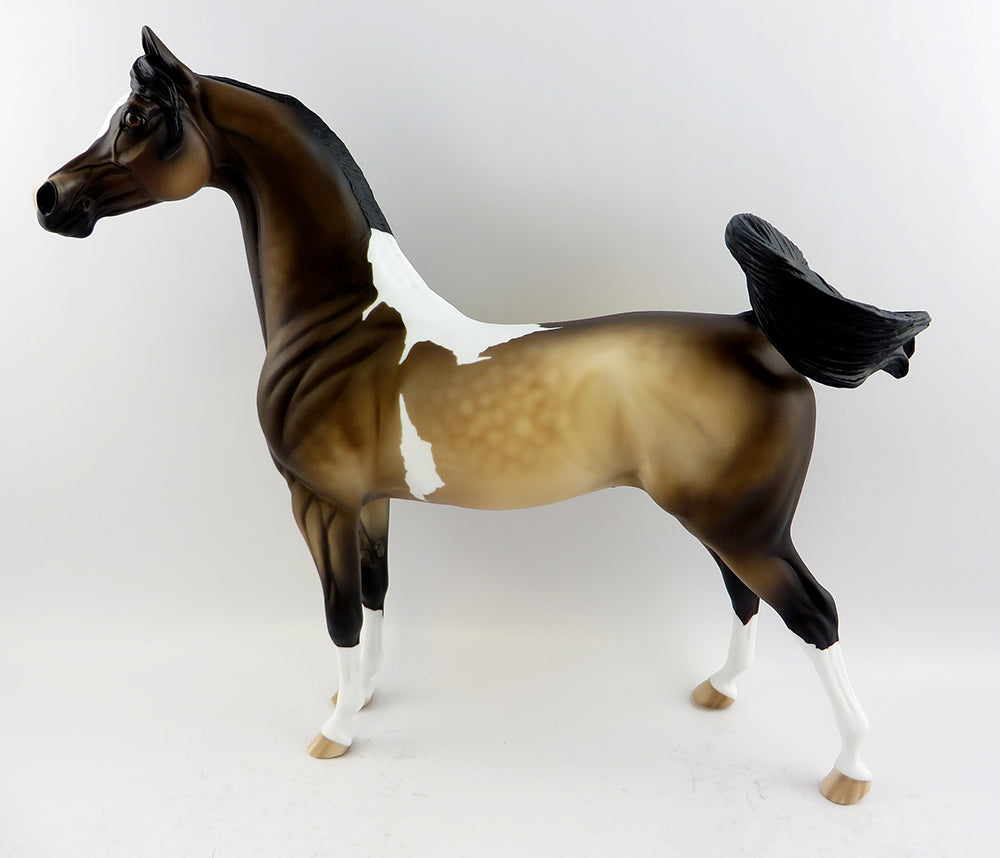 BOY OH BOY-LE.4 DAPPLE BAY TOBIANO ARABIAN MODEL HORSE BY SHERYL LEISURE 3/24/17