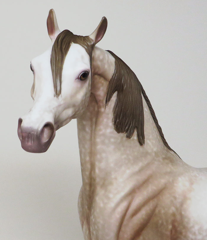 DAY AT THE BEACH-OOAK DAPPLE CHESTNUT ARABIAN MODEL HORSE BY AL 4/29