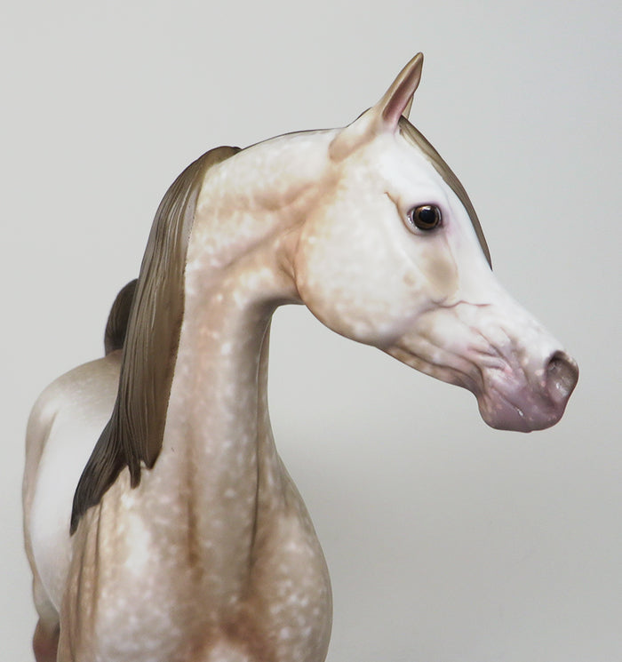 DAY AT THE BEACH-OOAK DAPPLE CHESTNUT ARABIAN MODEL HORSE BY AL 4/29