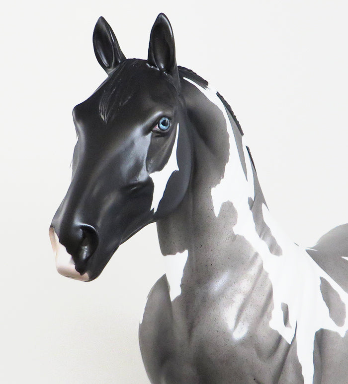 COUPE DE'VILLE-OOAK BLUE ROAN PAINT STANDING DRAFTER MODEL HORSE 5/6