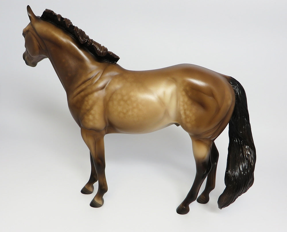 BAKED BEANS~OOAK DAPPLE BUCKSKIN ISH MODEL HORSE BY SHERYL LEISURE 9/25/17