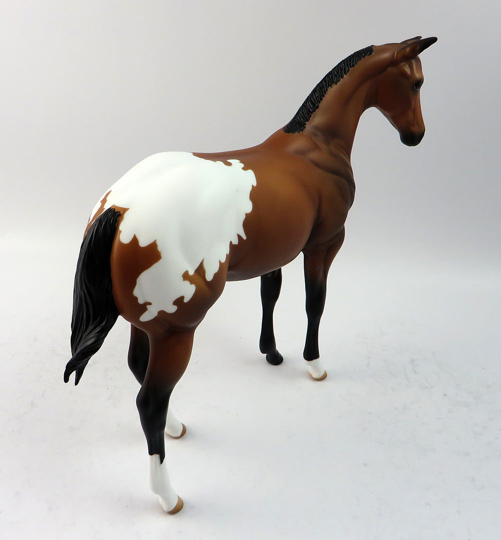 Appaloosa