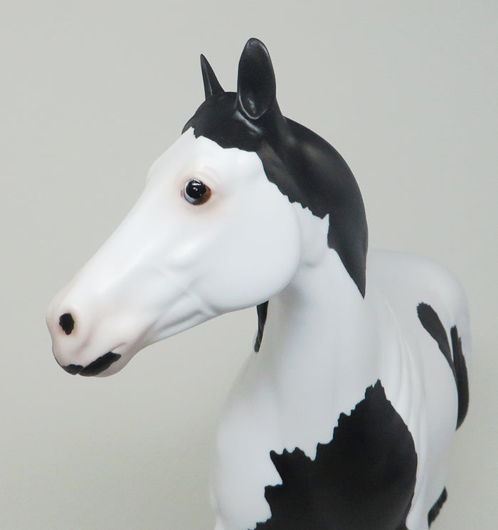 SPOOKALICIOUS-AKA "SPOOK" BLACK AND WHITE PAINT ISH MODEL HORSE TALENT IN OUR OWN BACKYARD WINNER 5/6