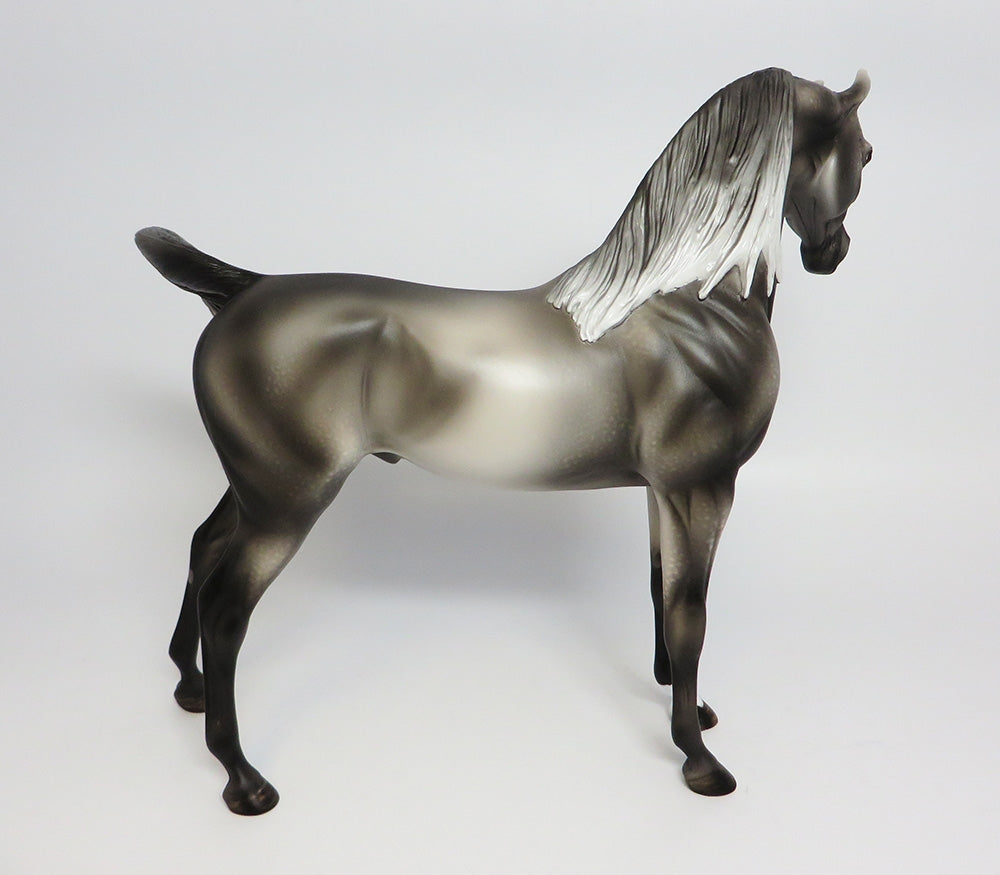 DARSHAN~OOAK DAPPLE GREY ARABIAN MODEL HORSE 9/26/17