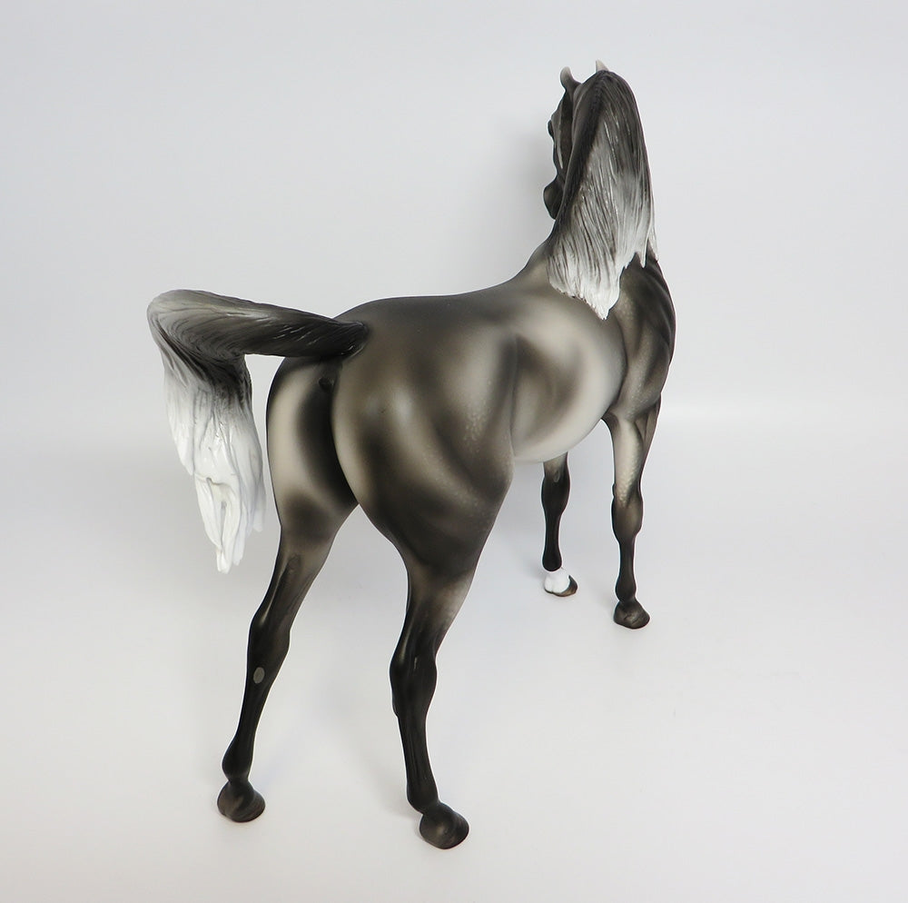 DARSHAN~OOAK DAPPLE GREY ARABIAN MODEL HORSE 9/26/17