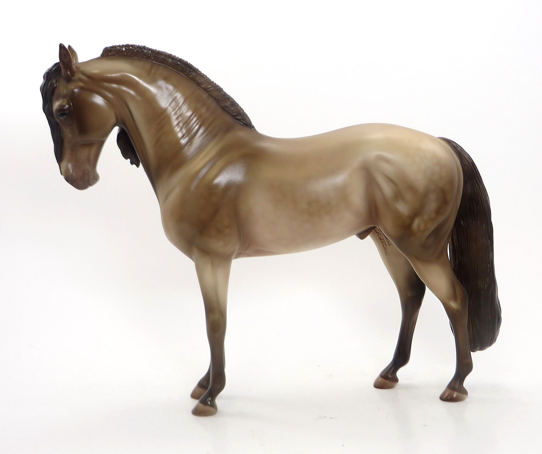 BOMB PROOF - OOAK Dapple Champagne Iberian 8/7