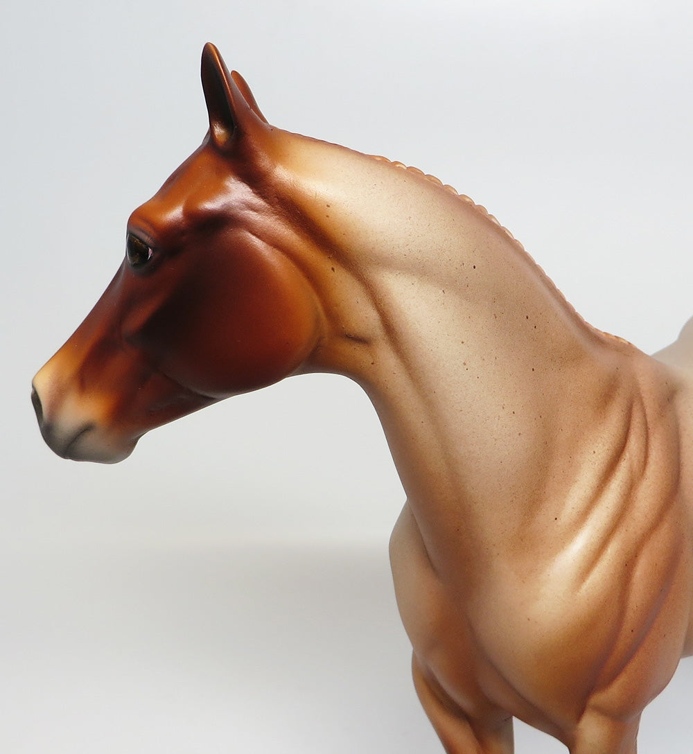 Quarter Horse Congress