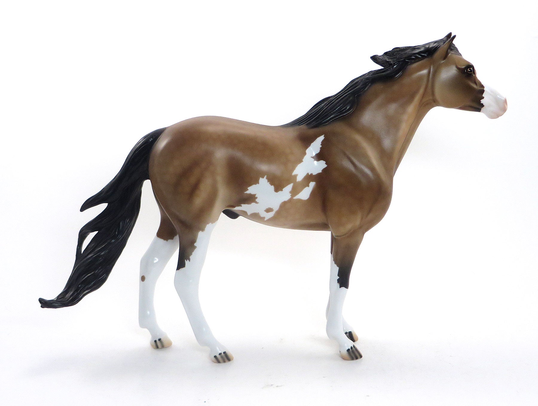 BEST DRESSED VILLIAN- OOAK Dappled Sooty Buckskin Pinto Mustang 8/14