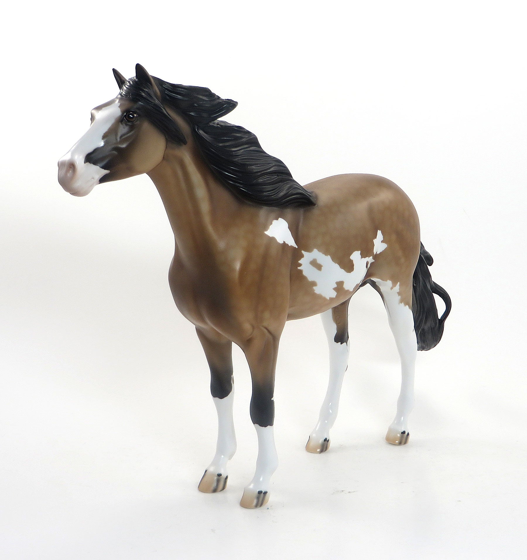 BEST DRESSED VILLIAN- OOAK Dappled Sooty Buckskin Pinto Mustang 8/14