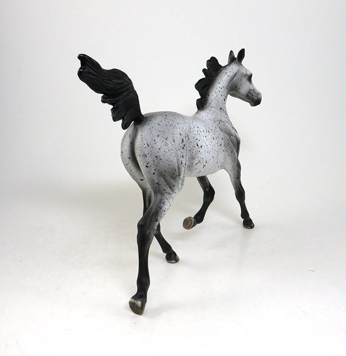 NO GOING BACK-OOAK APPALOOSA YEARLING MODEL HORSE BY AL 5/18