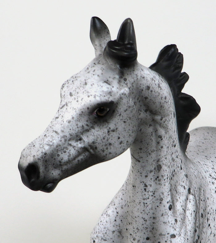 NO GOING BACK-OOAK APPALOOSA YEARLING MODEL HORSE BY AL 5/18