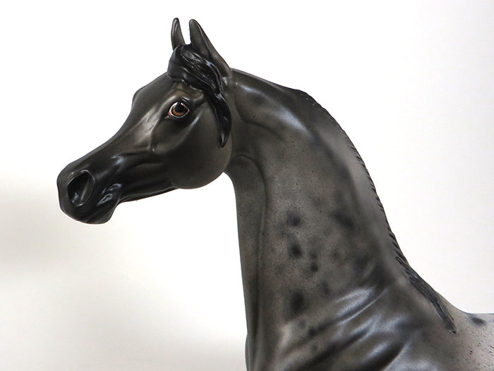 appaloosa arabian one of a kind model horse