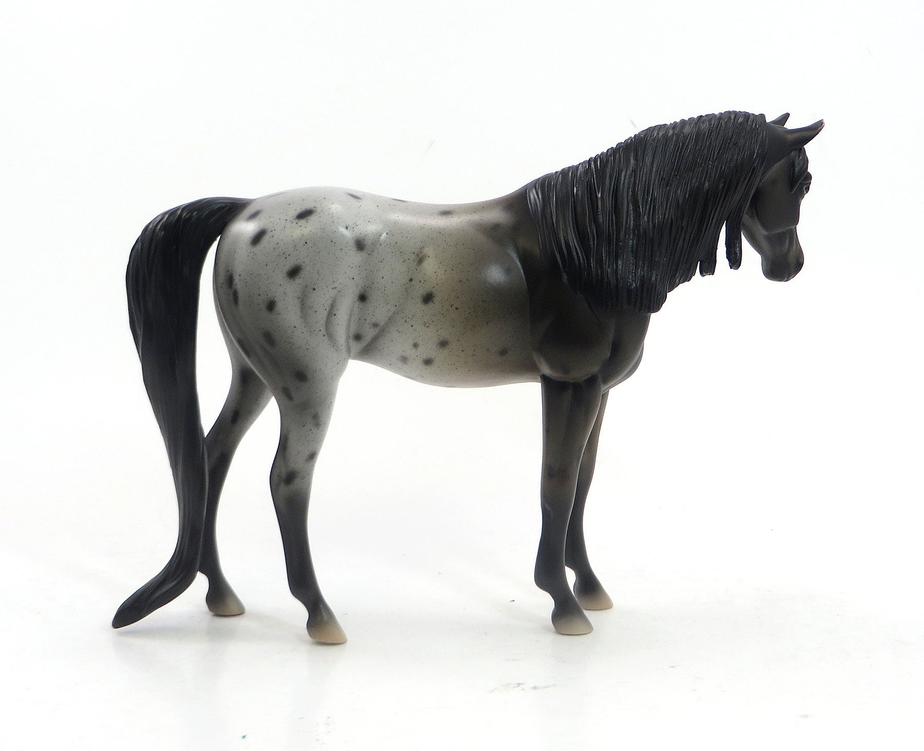 MUNSTER - OOAK Appaloosa Pebbles Arabian Model Horse - 5/15