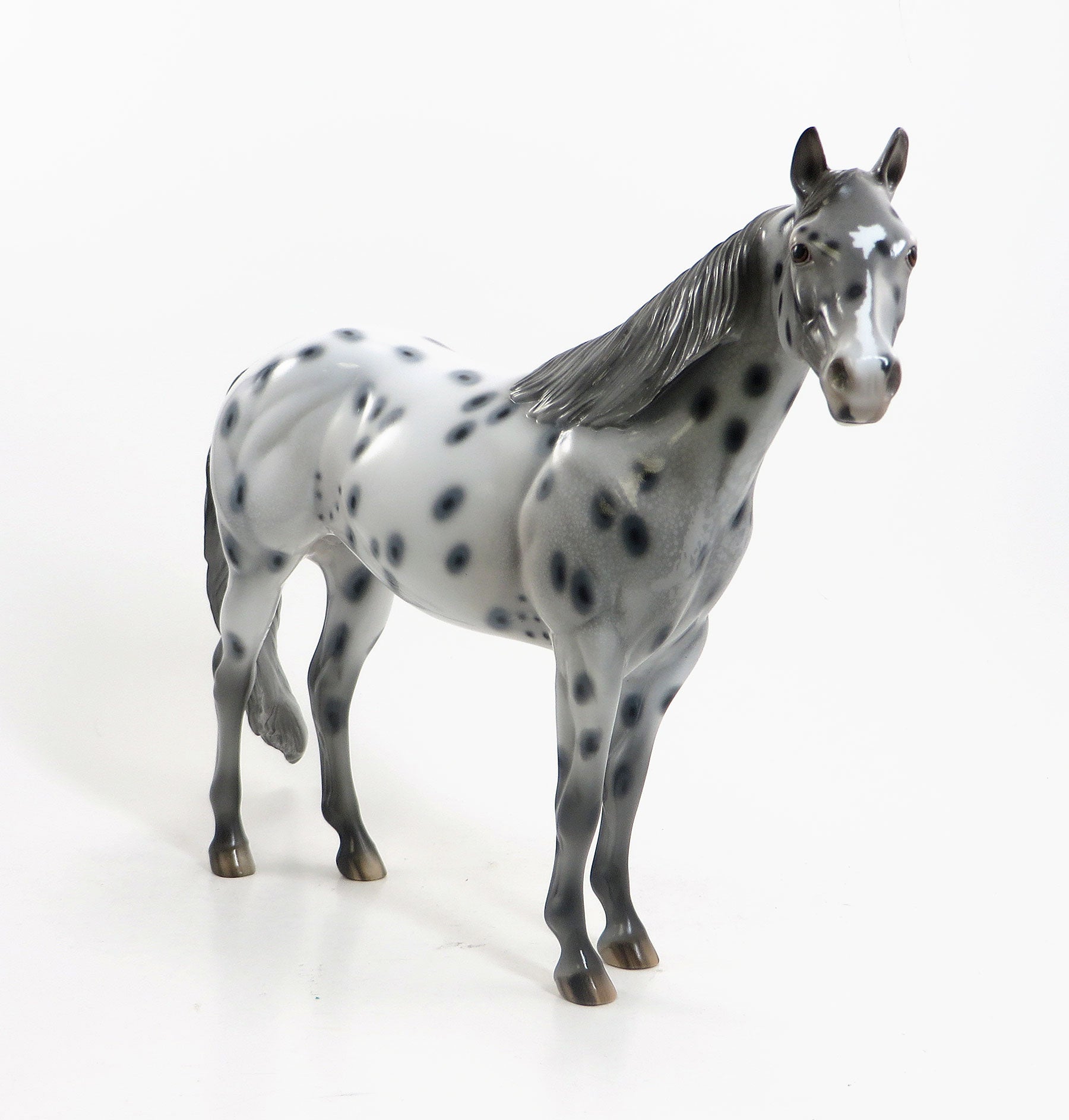 KEME THUNDER - Leopard Appaloosa Model Stock Horse - LE7 - 5/15