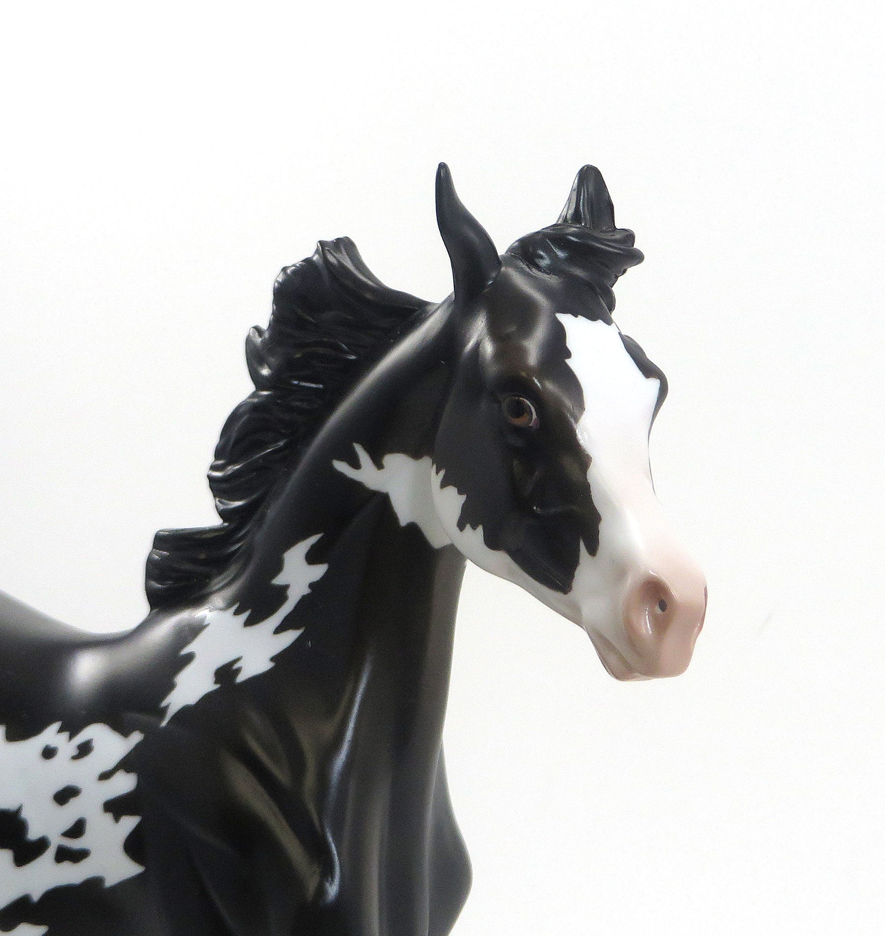 RAZZMATAZZ - LE 15 Black Sabino Pinto Yearling 5/15