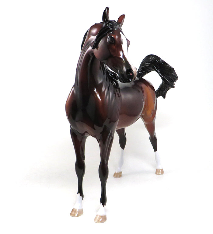 DANDY RANDY - OOAK BAY ARABIAN MODEL HORSE BY DAWN QUICK - 3/4