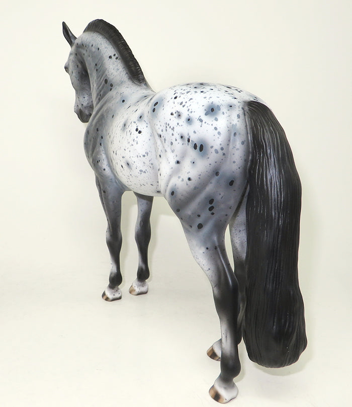 appaloosa