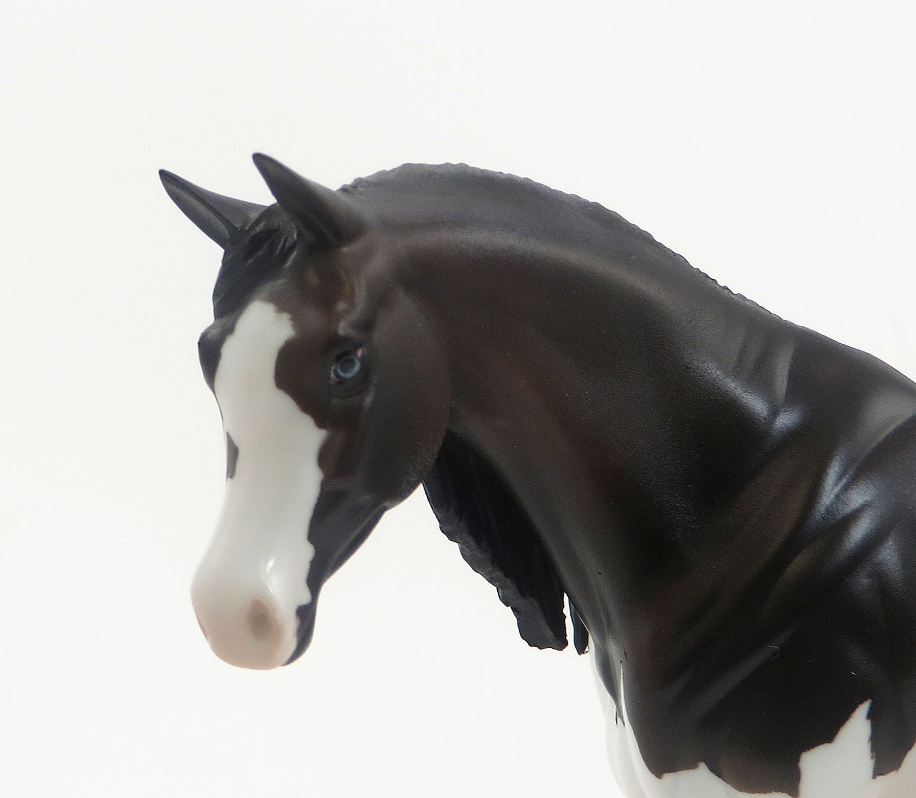 MISSISSIPPI QUEEN - Dark Bay Pebbles Arabian LE3