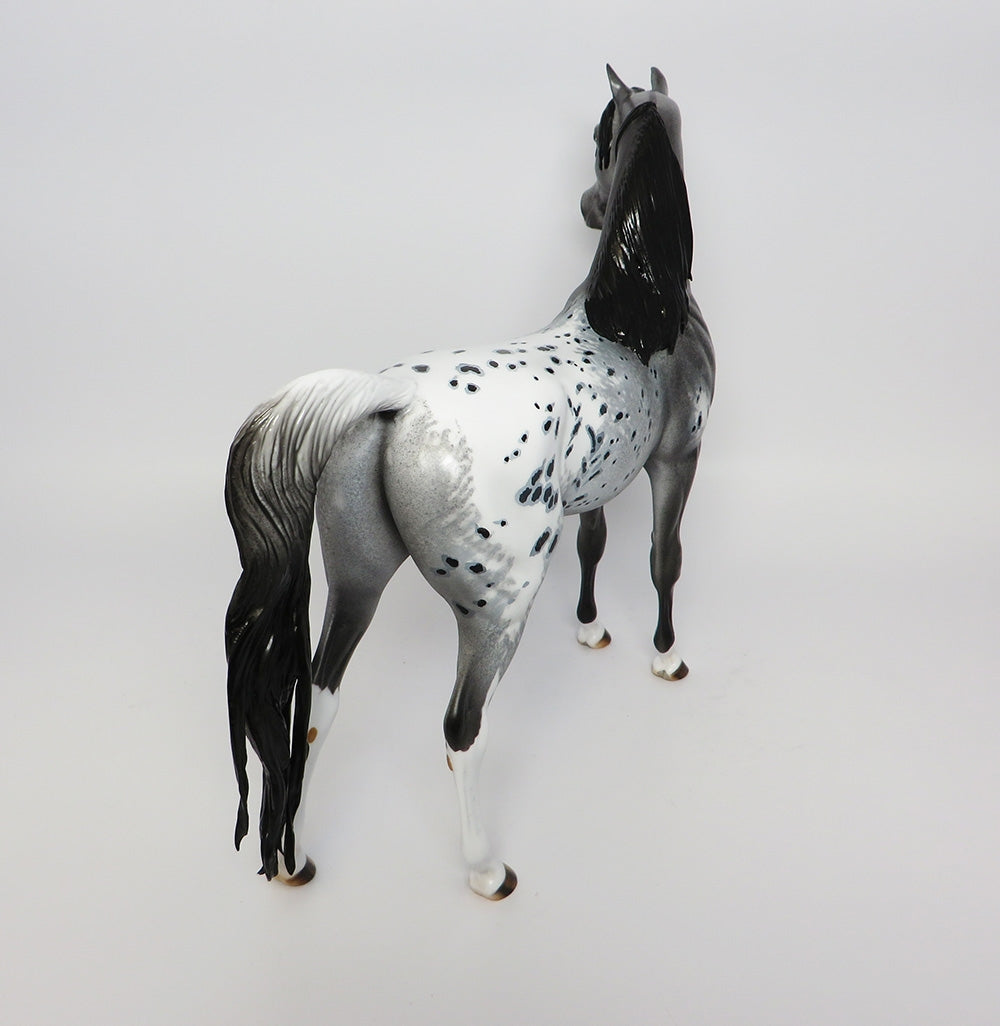 Appaloosa