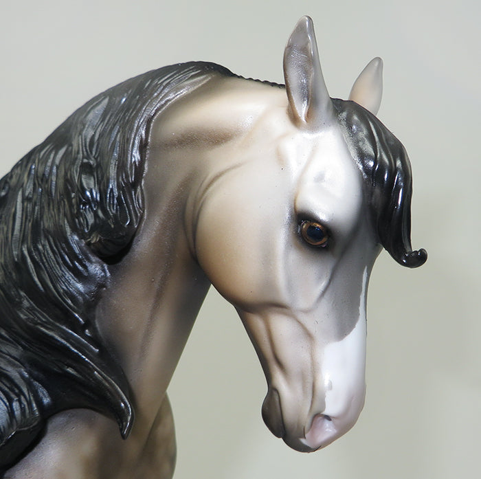 FLYLEAF-OOAK BUCKSKIN ANDALUSIAN STALLION MODEL HORSE 5/20