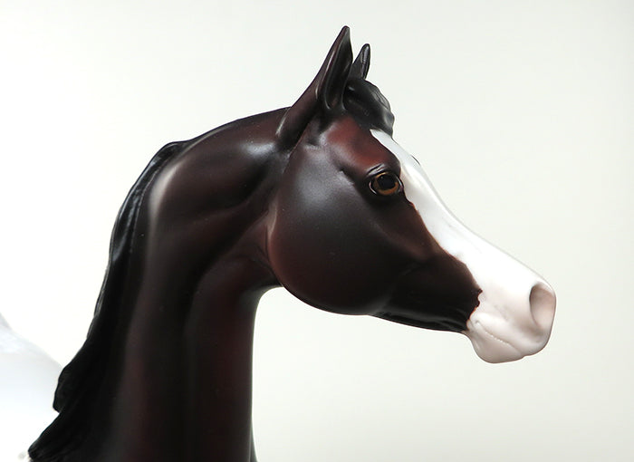 THE LOOKER-OOAK BAY PAINT ARABIAN MODEL HORSE 5/20