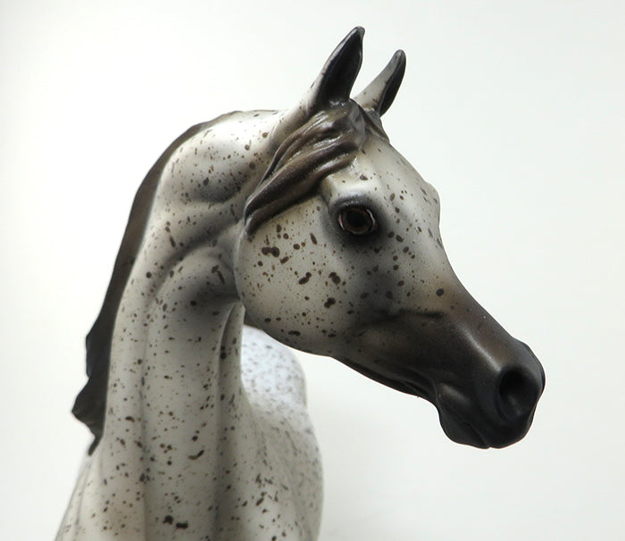ANTHEM-OOAK FLEA BIT ARABIAN MODEL HORSE 5/20