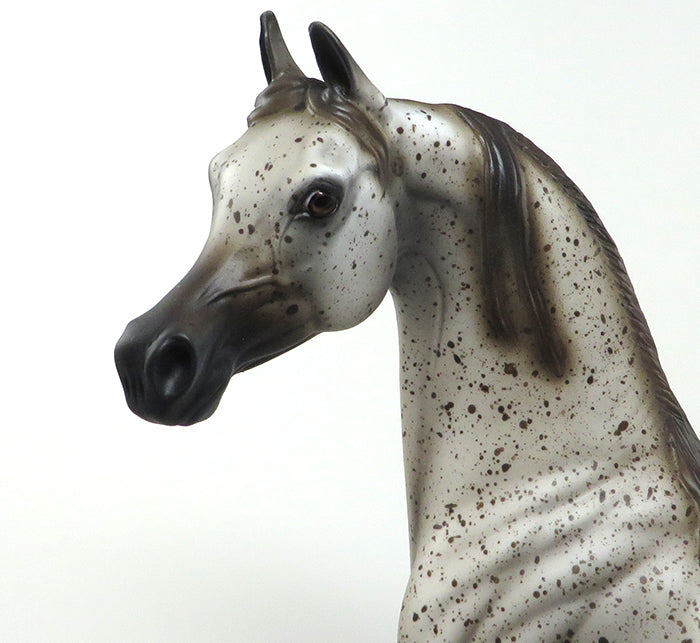 ANTHEM-OOAK FLEA BIT ARABIAN MODEL HORSE 5/20