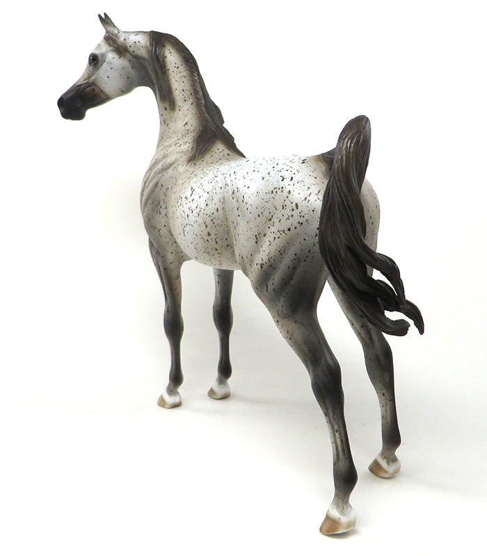 ANTHEM-OOAK FLEA BIT ARABIAN MODEL HORSE 5/20