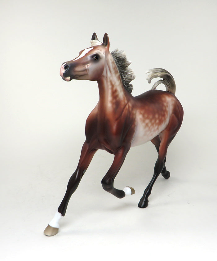 CONTESSA-OOAK SILVER BAY GOING GREY ARABIAN YEARLING MODEL HORSE 5/20