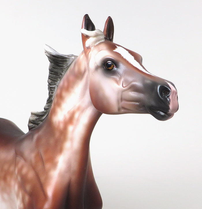 CONTESSA-OOAK SILVER BAY GOING GREY ARABIAN YEARLING MODEL HORSE 5/20