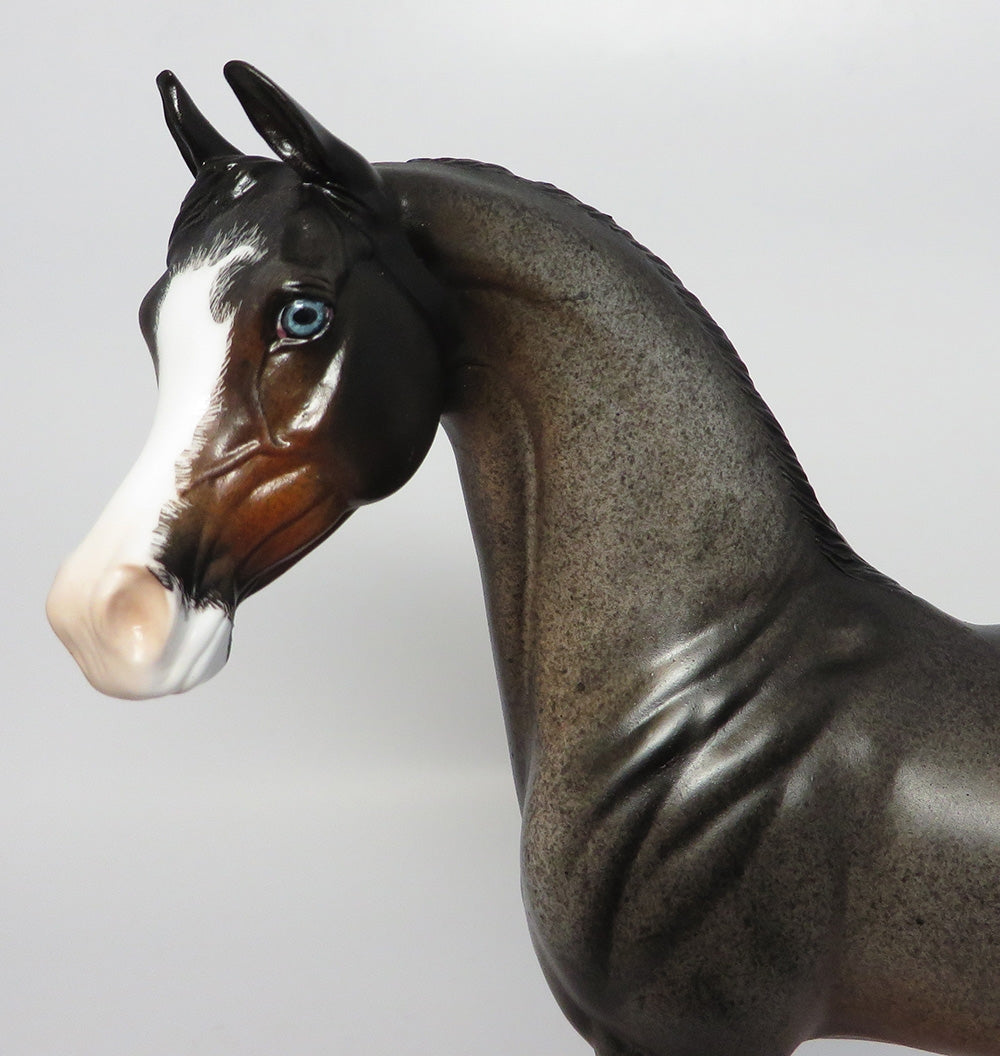 GONE VIRAL~OOAK ETCHED ROAN PINTABIAN MODEL HORSE BY DAWN QUICK 10/12/17