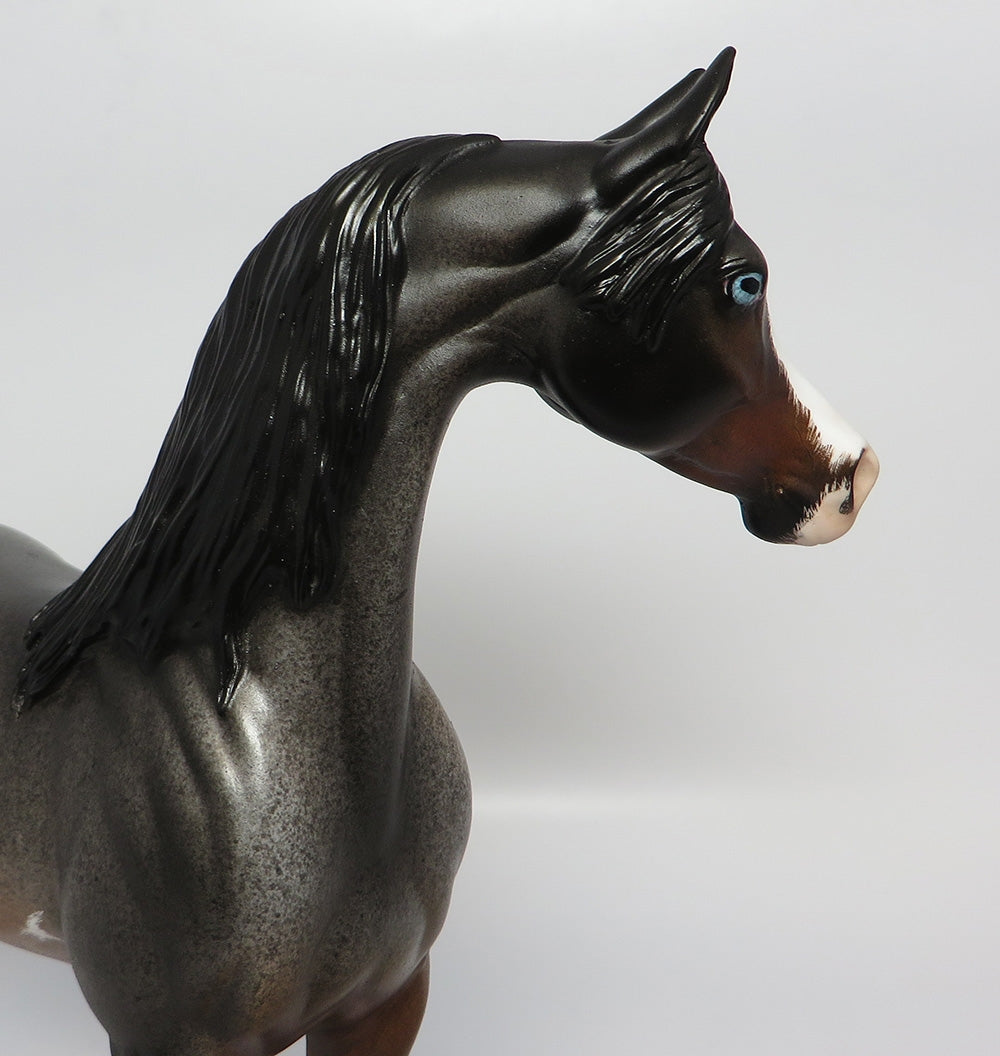 GONE VIRAL~OOAK ETCHED ROAN PINTABIAN MODEL HORSE BY DAWN QUICK 10/12/17