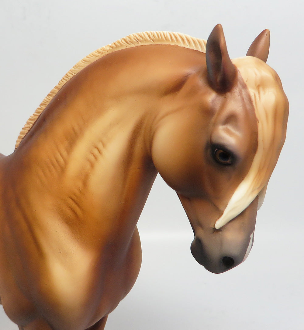 GOLDIE~OOAK DAPPLE CHESTNUT ANDALUSIAN BY DAWN QUICK 3/15