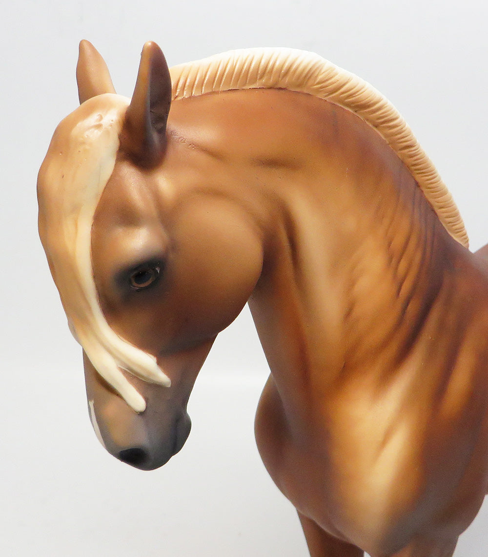 GOLDIE~OOAK DAPPLE CHESTNUT ANDALUSIAN BY DAWN QUICK 3/15