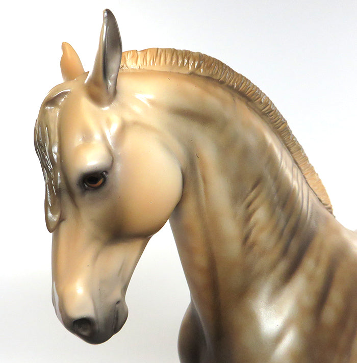 COLUMBIANO-LE-10 SOOTY PALOMINO ANDAULUSIAN BY DAWN QUICK