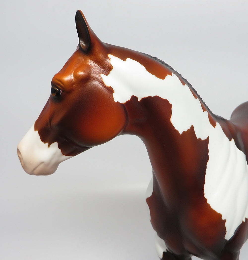 BUCKCHERRY~OOAK DAPPLE BAY PINTO ISH MODEL HORSE 10/17/17
