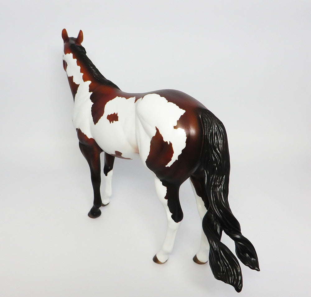 BUCKCHERRY~OOAK DAPPLE BAY PINTO ISH MODEL HORSE 10/17/17